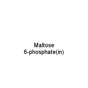Maltose 6-phosphate(in)